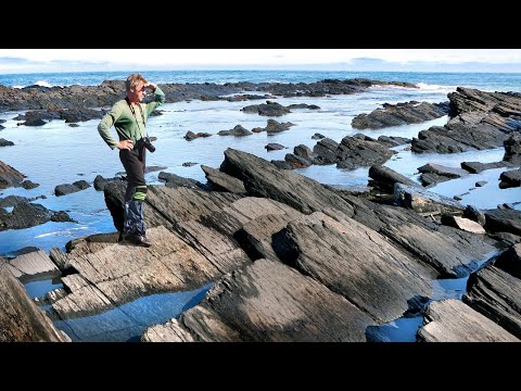 Видео: Полуостров Рыбачий. Часть 2. Мыс Кекурский