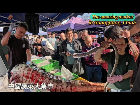 Видео: Удивительные рынки в Гуандуне, Китай, спешат купить мясо крокодилов и змей / 4k