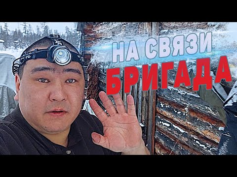 Видео: БРИГАДА на СВЯЗИ.