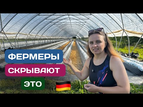 Видео: Шокирующий УРОЖАЙ в Германии — такого мы не ожидали!