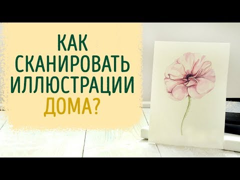 Видео: Как сканировать большие рисунки дома?