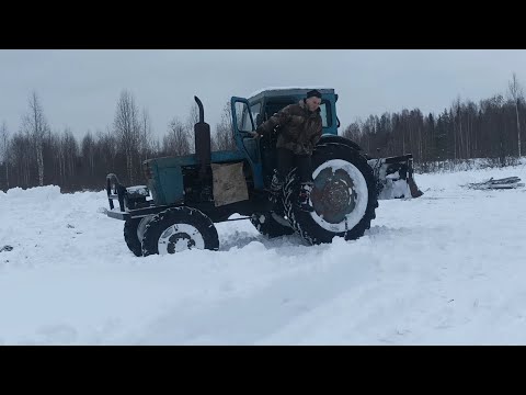 Видео: Заготовка дров. Т 40 АМ.
