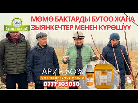 Видео: Мөмө бактарды бутоо жана зыянкечтер менен күрөшүү