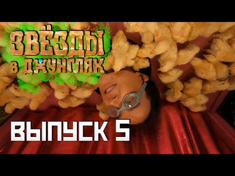 Видео: Звёзды в джунглях, 5 выпуск ( НАРЕЗКА РЕАКЦИИ )