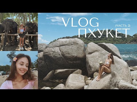 Видео: travel vlog: ПХУКЕТ, ЧАСТЬ 2 | новый год, нападение слона и обезьяны, старый город