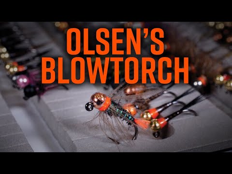 Видео: Нимфа паяльной лампы Олсена