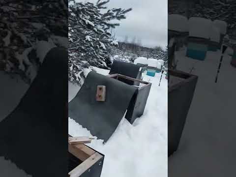 Видео: ВЫСОКАЯ РАМКА ЖИВЫ ИЛИ НЕТ