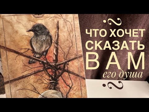 Видео: Что хочет сказать вам его душа?