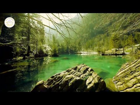 Видео: Relax. Альфа-прокачка "Весенняя сказка"