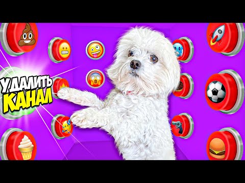 Видео: ЩЕНОК БИЛЛИ УПРАВЛЯЕТ НАШИМ ДНЁМ С ПОМОЩЬЮ КНОПОК