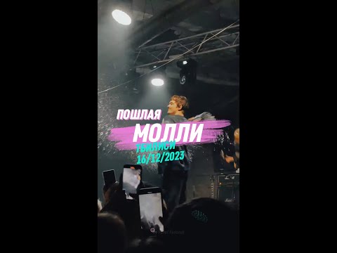 Видео: Пошлая Молли ЛАЙВ концерт / Poshlaya Molly LIVE concert @ Elektrowerk, Tbilisi 16.12.2023