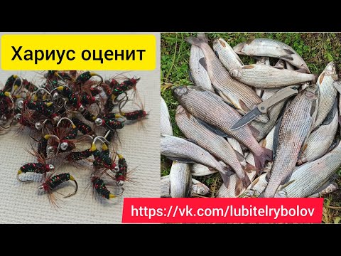 Видео: Изготовление мушки для ловли хариуса "светофор". Лайфхак при работе с двумя люрексами