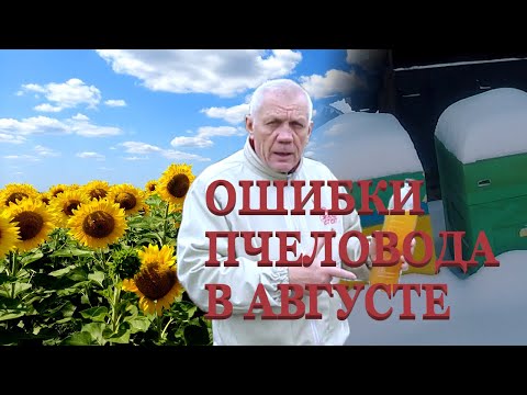 Видео: Август на пасеке Что должен сделать пчеловод в первую очередь