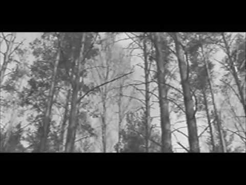 Видео: Полоцк. Документальный фильм "Письма в никуда". 2005 год.