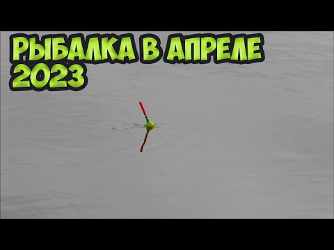 Видео: ПЕРВАЯ РЫБАЛКА НА ПОПЛАВОК В АПРЕЛЕ 2023 ! рыбалка на речке весной.