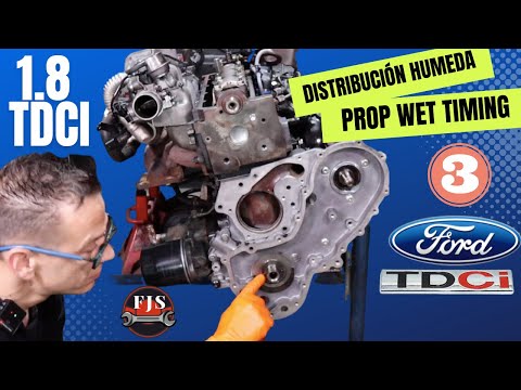 Видео: FORD 1.8 TDCI, Фокус, Мондео, Транзит, С-Макс. Учебник Ремни ГРМ и потеря масла.