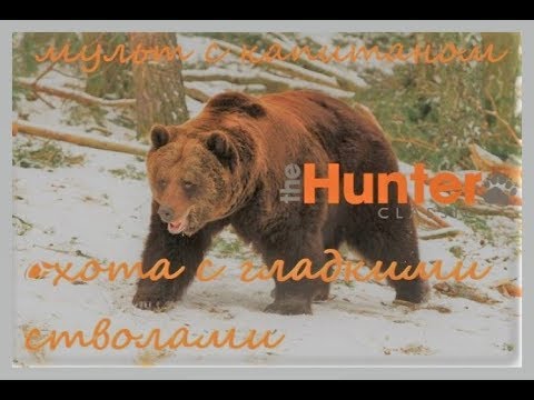 Видео: theHunter Classic #7/Охота с гладкими стволами/мультиплеер с Alatriste