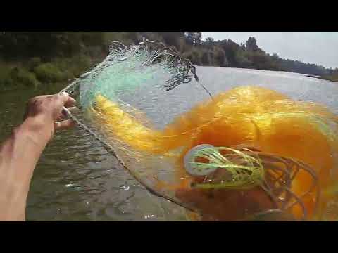 Видео: Рыбалка кас сетью