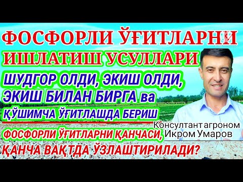 Видео: FOSFORLI O‘G‘ITLARNI BERISH MUDDATLARI. 113-son. ФОСФОРНИ БЕРИШ ВАҚТЛАРИ
