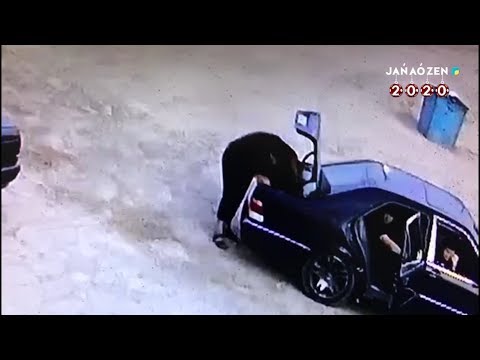 Видео: ДАБЫЛ ДАБЫЛ 01 01 20