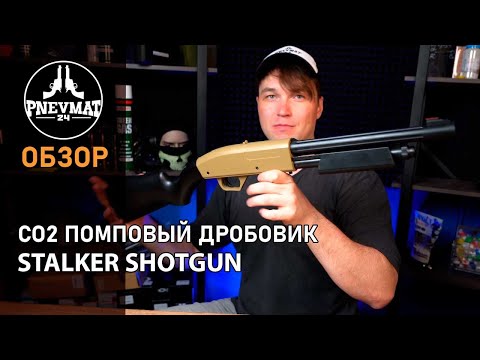 Видео: Пневматическая винтовка Stalker ShotGun CO2