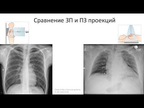 Видео: Урок №1