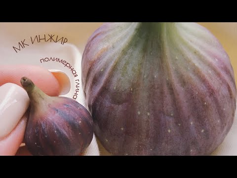 Видео: Инжир из полимерной глины/Figs from polymer clay