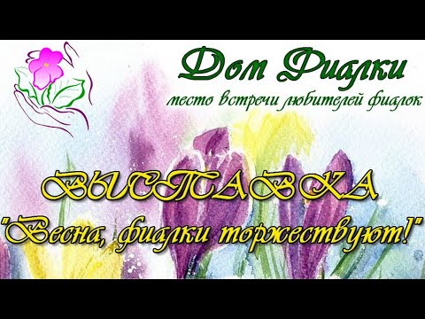 Видео: Обзор выставки "Весна, фиалки торжествуют-2025" группа Московская фиалка, в Доме Фиалки, 21-31.03.25