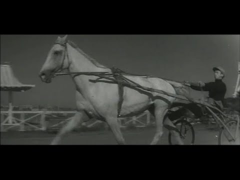 Видео: Любушка (1961).
