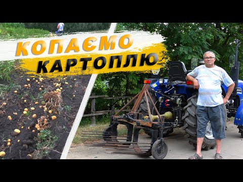 Видео: Копаємо картоплю мінітрактором. Перший збір картоплі в цьому році