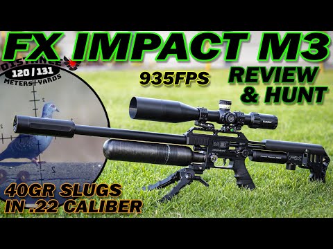 Видео: FX Impact M3 | Обзор и охота | Борьба с вредителями с помощью пневматического оружия