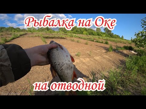 Видео: Рыбалка на отводной на Оке. Рыбалка в Нижнем Новгороде