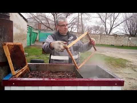 Видео: вытопка воска