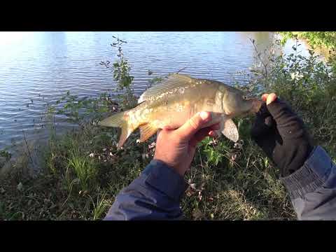 Видео: Боковий кивок у вересні