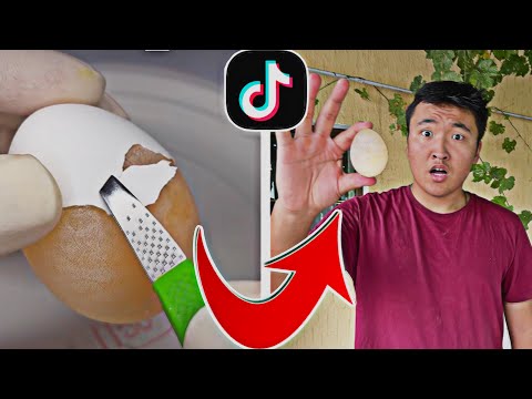 Видео: ЖҰМЫРТҚАНЫҢ СЫРТҚЫ ҚАБЫҒЫН АЛ ! *ұтылған адам ,басына жұмыртқа жарады**