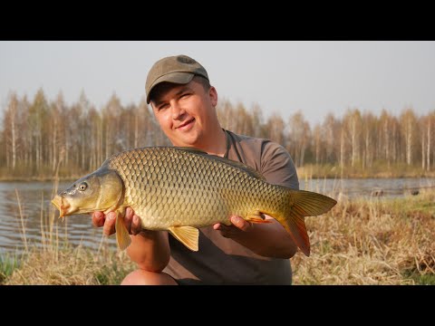 Видео: ГДЕ ЛОВИТЬ  КАРПА РАННЕЙ ВЕСНОЙ?! ТАКТИКА ловли по холодной воде!