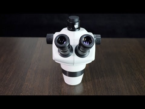 Видео: Лучший Тринокуляр smz630 . Simul-focal. Parfocal.