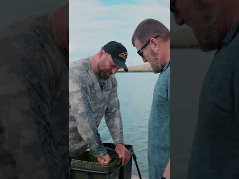 Видео: ЗАЧЕМ И КТО ПРИДУМАЛ БОЙЛЫ?