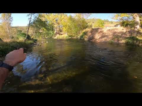 Видео: Мухарски риболов - Страхотен съботен излет!