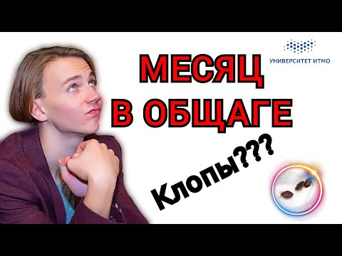Видео: ПРОЖИЛ МЕСЯЦ В ОБЩЕЖИТИИ ИТМО. ВОЗМОЖНО? Соседи, грязь, ремонт, клопы - правда о студенческой жизни.