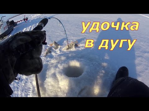 Видео: Рыбалка 2024 . Удочка в дугу. Окунь, щука, налим.