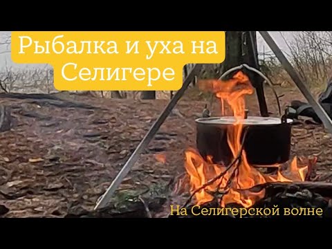 Видео: Рыбалка и уха на Селигере