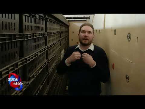 Видео: Камера сушки шишек: технология сушки шишек, агрегат подготовки воздуха, энергоэффективность.