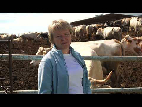 Видео: Семейная ферма