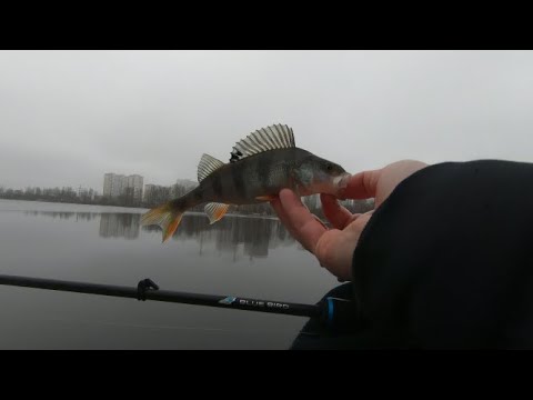 Видео: Озеро НЕБРЕЖ. Спиннинг в январе 2021. Городское озеро.