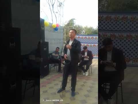 Видео: 7 ноября 2025 г.