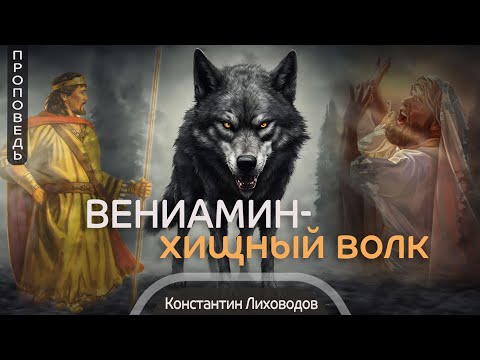 Видео: Вениамин - хищный волк  — Константин Лиховодов (Быт. 49:27)