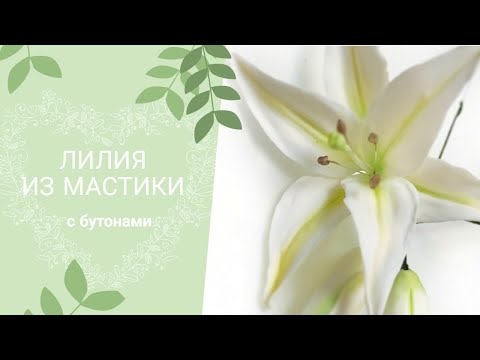 Видео: Лилия из мастики