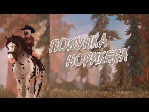 Видео: Обновление | Покупка норикера | Star Stable