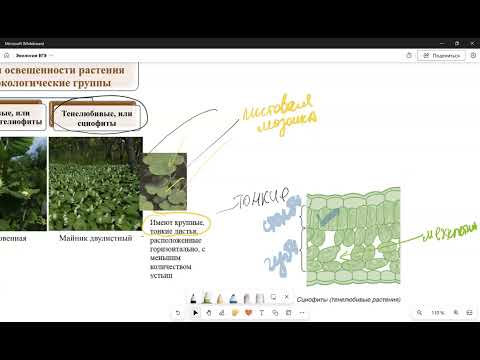 Видео: Экология свет абиотический фактор ЕГЭ биология